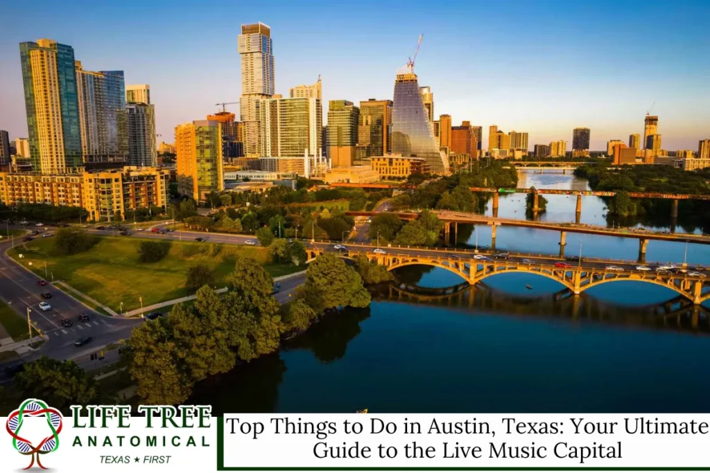 Top Things to Do in Austin, Texas: Your Ultimate Guide to the Live Music Capital