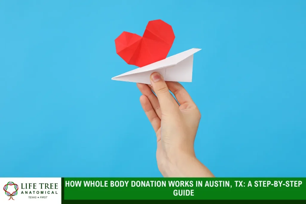 How Whole Body Donation Works in Austin, TX: A Step-by-Step Guide
