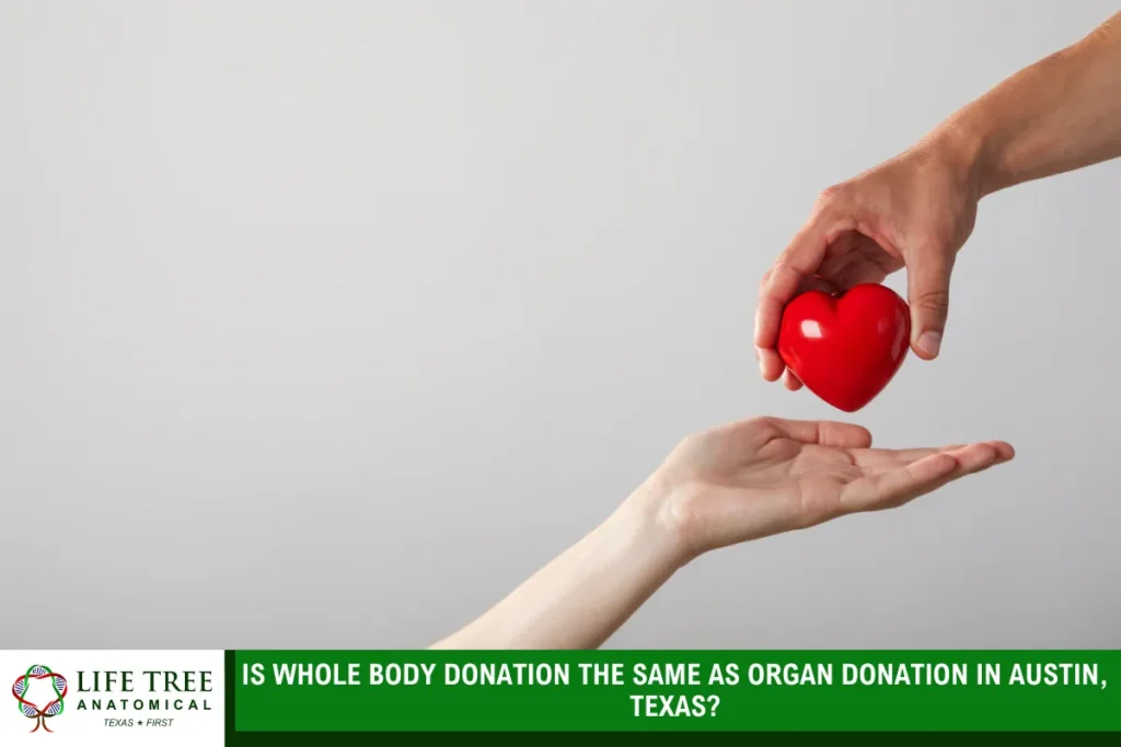Is Whole Body Donation the Same as Organ Donation in Austin, Texas?