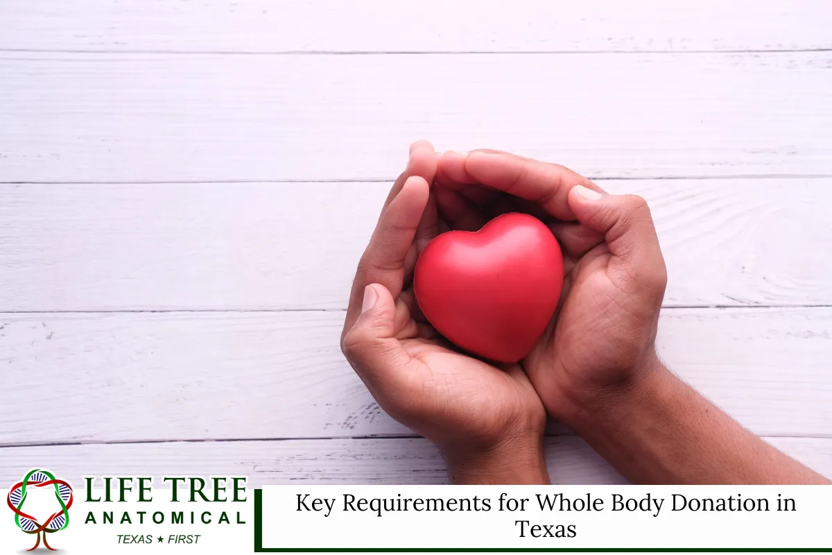 Key Requirements for Whole Body Donation in Texas