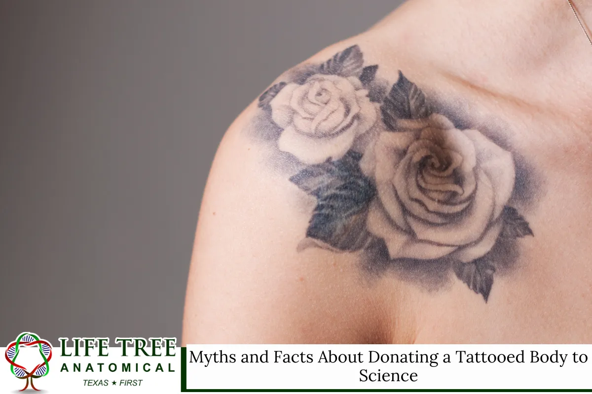 Myths and Facts About Donating a Tattooed Body to Science