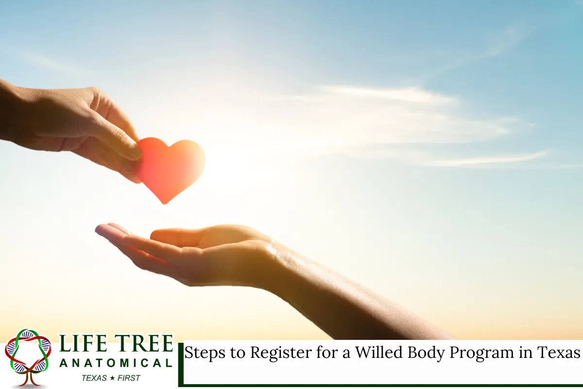 Steps to Register for a Willed Body Program in Texas