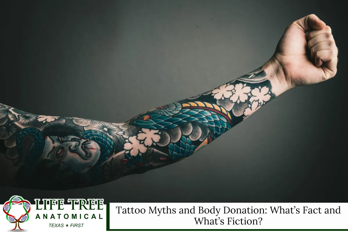 Tattoo Myths and Body Donation: What’s Fact and What’s Fiction?