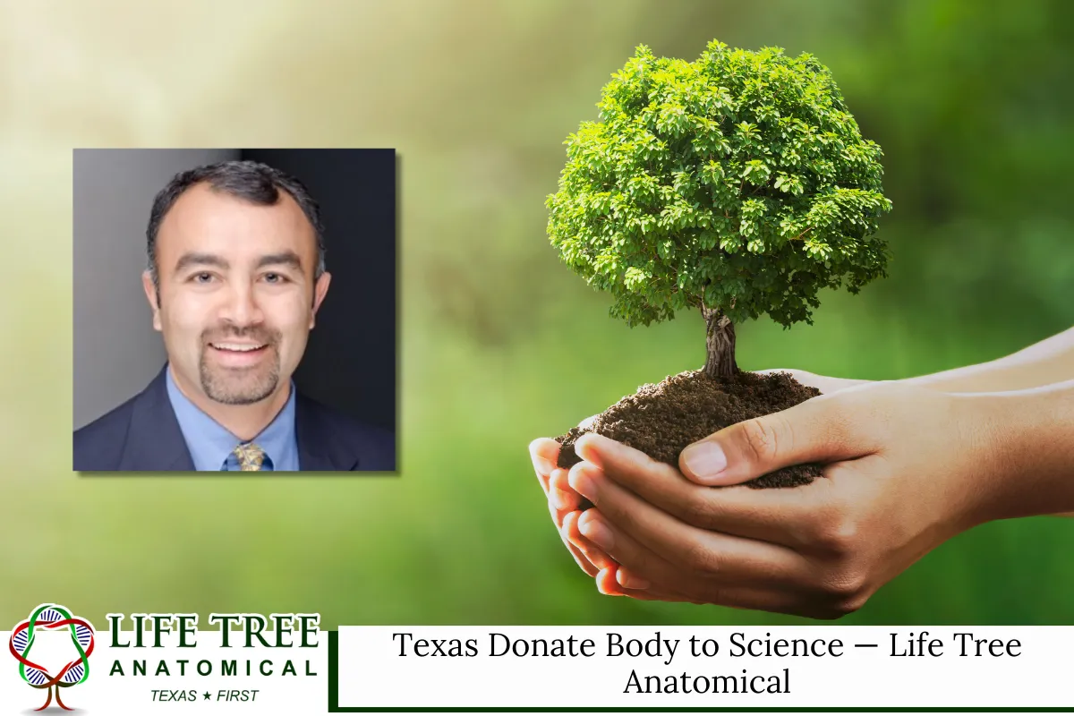 Texas Donate Body to Science - Life Tree Anatomical