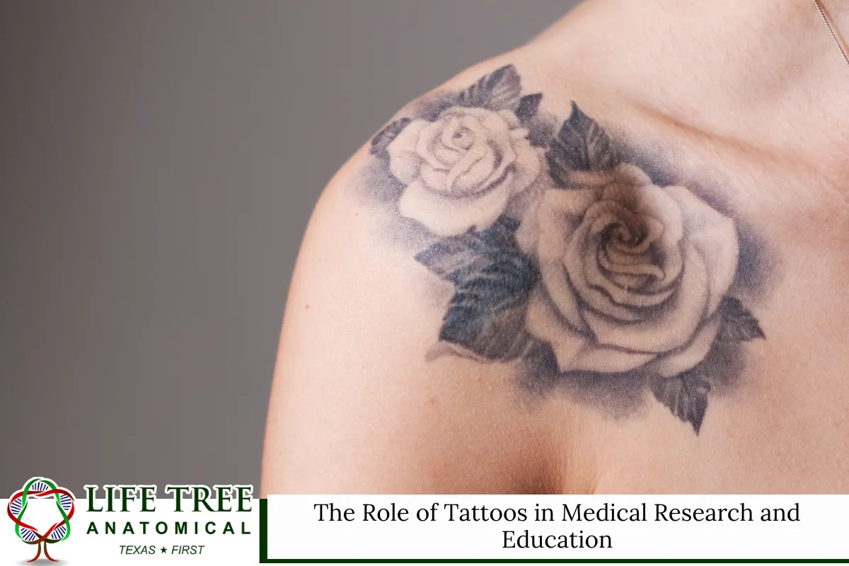 The Role of Tattoos in Medical Research and Education
