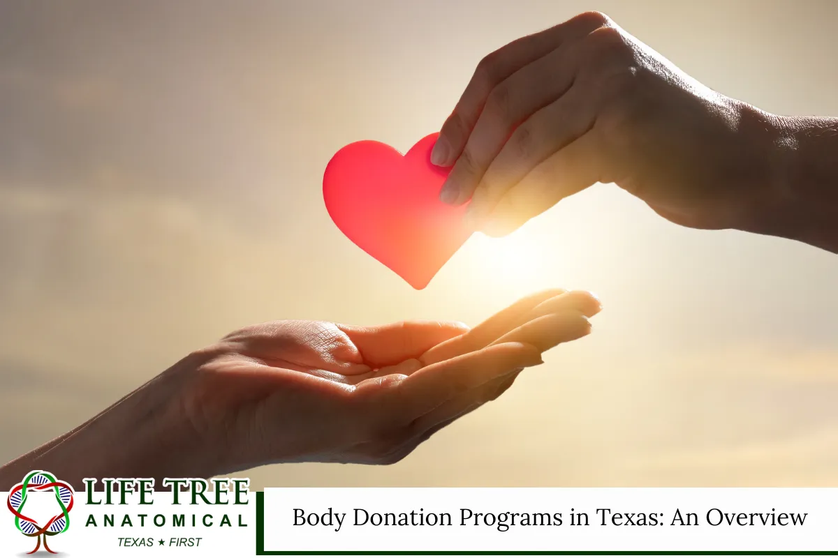 Body Donation Programs in Texas: An Overview