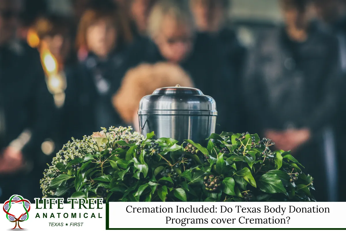 Cremation Included: Do Texas Body Donation Programs cover Cremation?