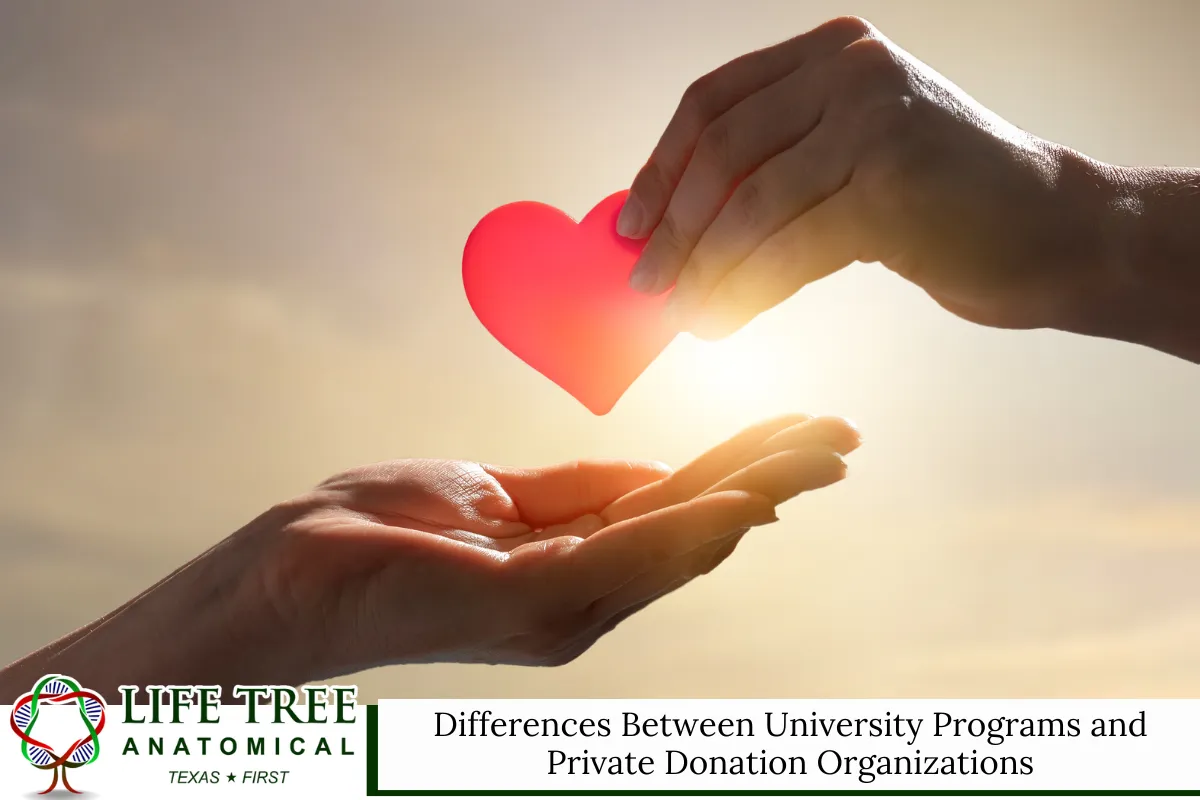 Differences Between University Programs and Private Donation Organizations