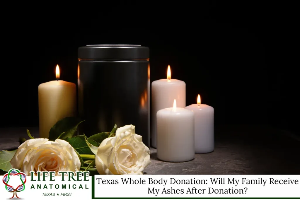 Texas Whole Body Donation: Will My Family Receive My Ashes After Donation?