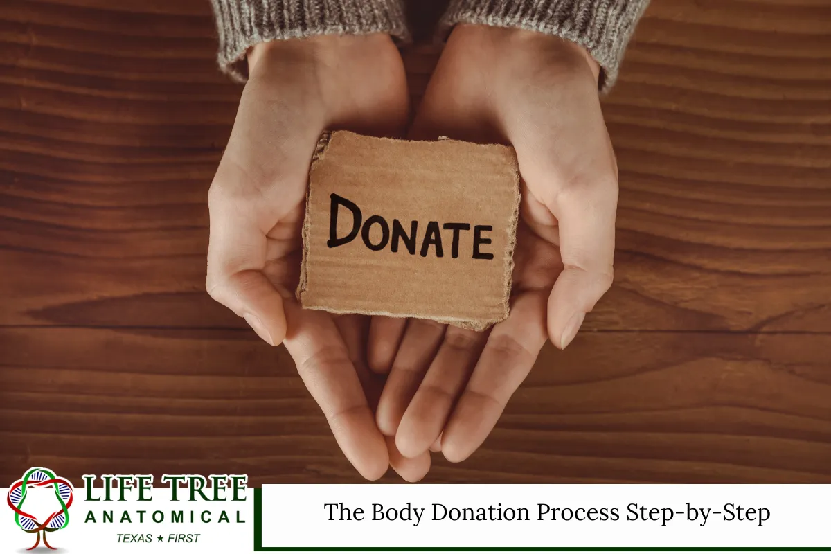 The Body Donation Process Step-by-Step