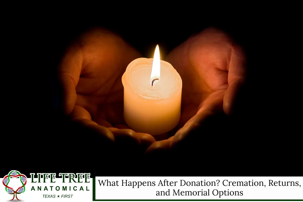What Happens After Donation? Cremation, Returns, and Memorial