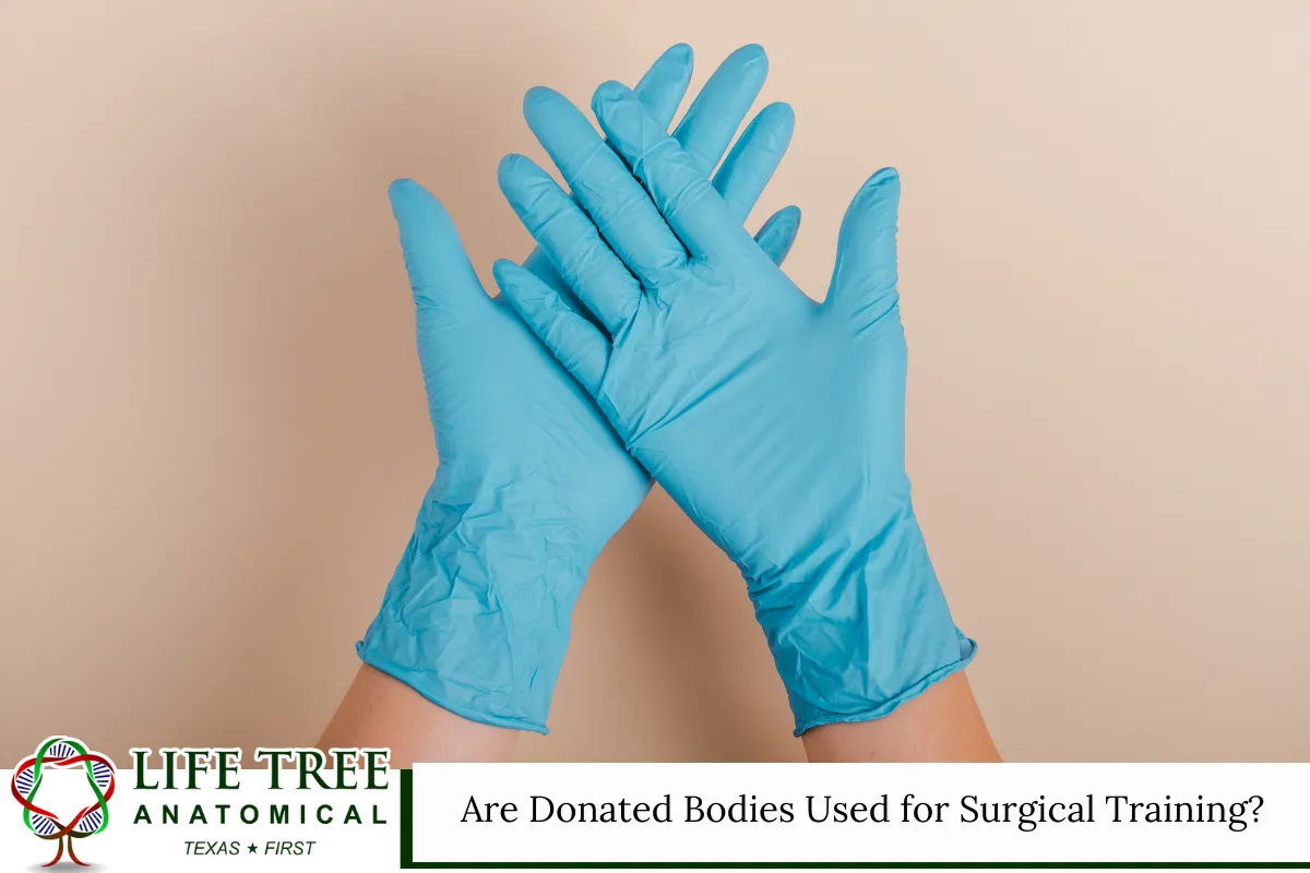 Are Donated Bodies Used for Surgical Training?