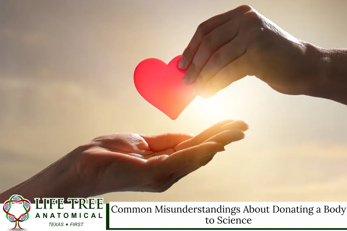 Common Misunderstandings About Donating a Body to Science
