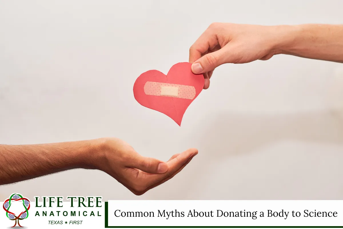 Common Myths About Donating a Body to Science