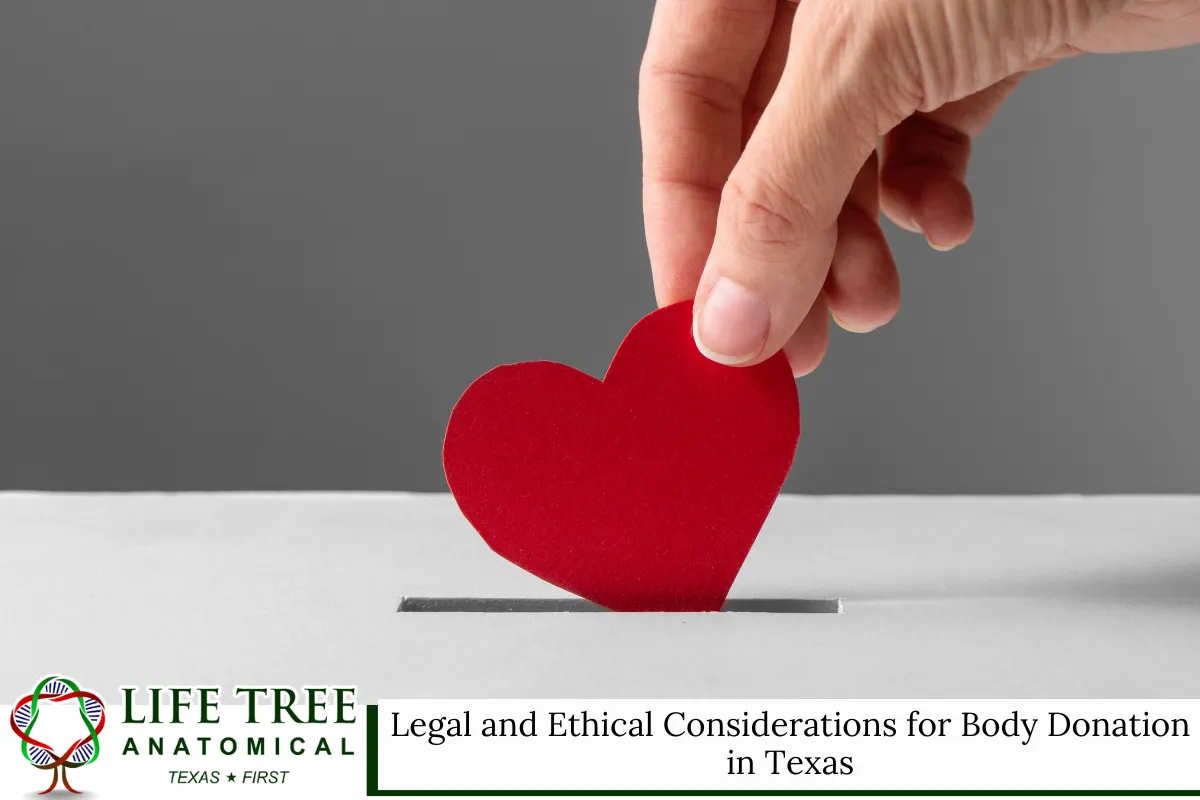 Legal and Ethical Considerations for Body Donation in Texas