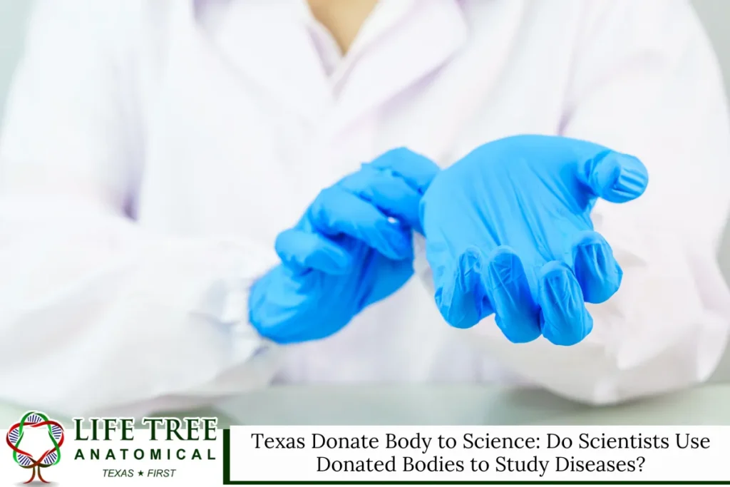 Texas Donate Body to Science: Do Scientists Use Donated Bodies to Study Diseases?