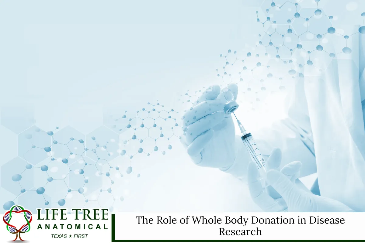 The Role of Whole Body Donation in Disease Research