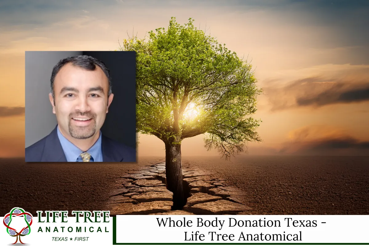 Whole Body Donation Texas - Life Tree Anatomical