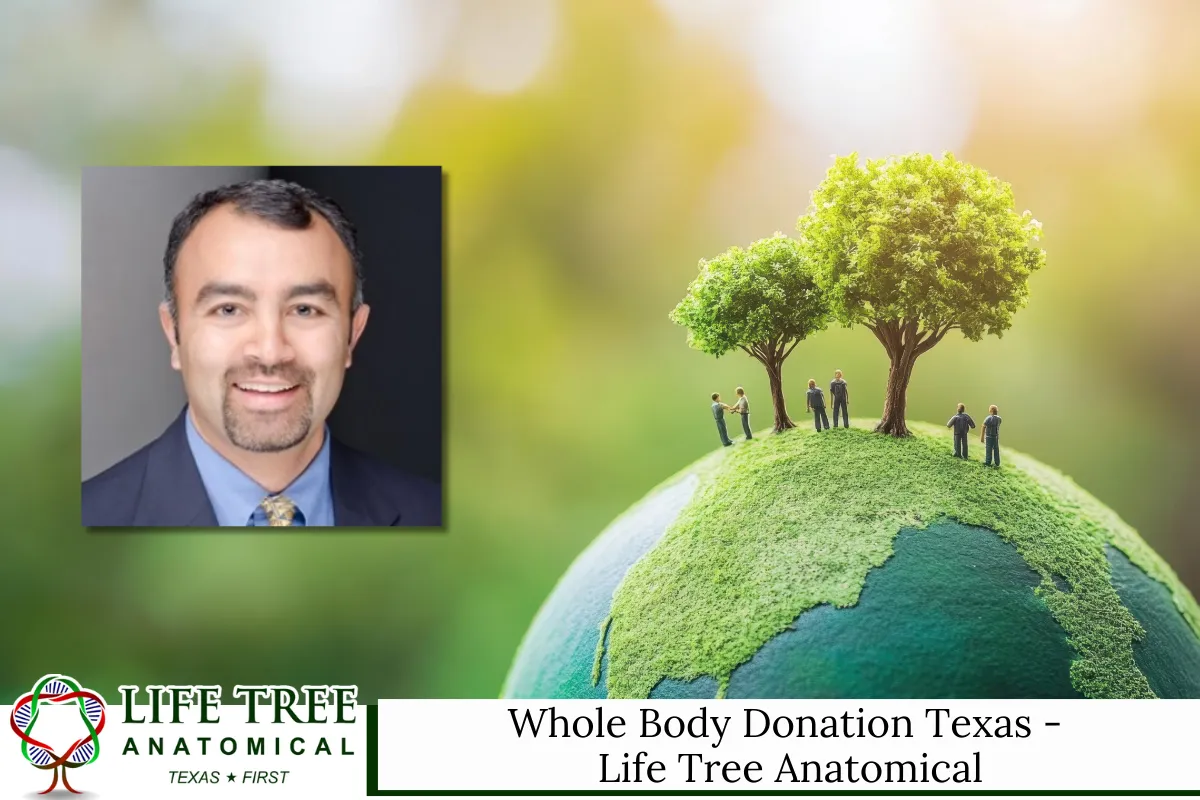 Whole Body Donation Texas - Life Tree Anatomical