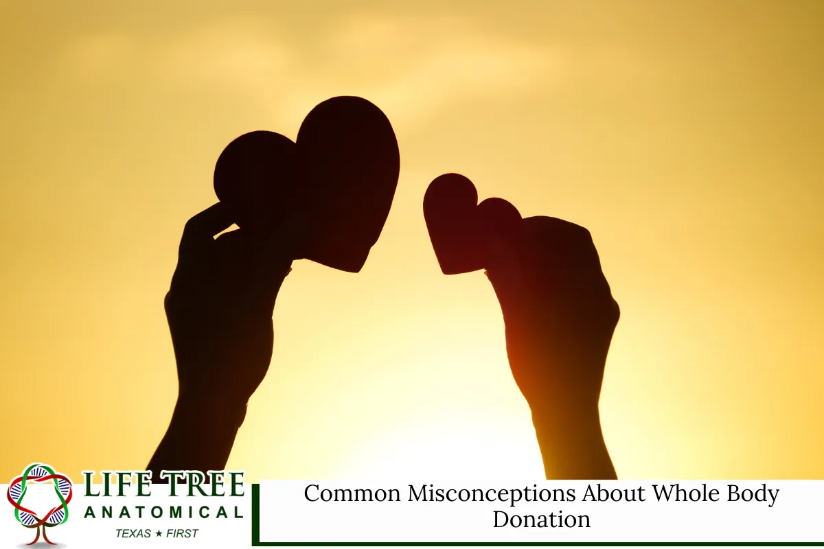 Common Misconceptions About Whole Body Donation