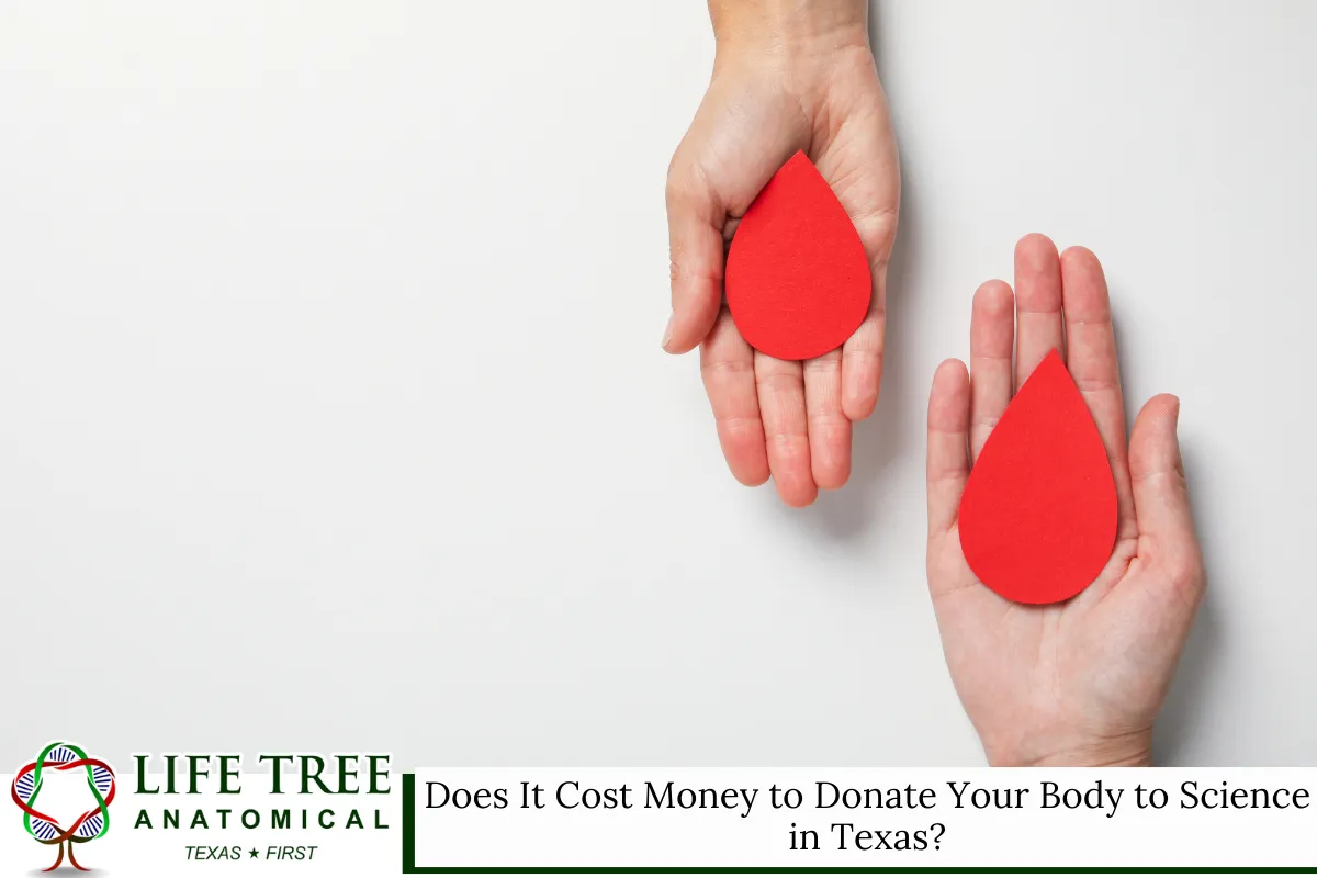 Does It Cost Money to Donate Your Body to Science in Texas