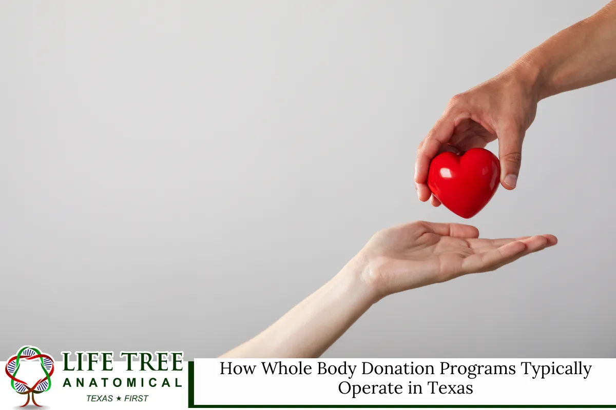 How Whole Body Donation Programs Typically Operate in Texas