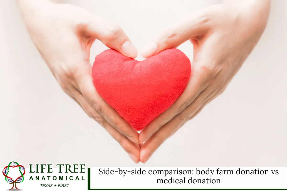 Side-by-side comparison body farm donation vs medical donation