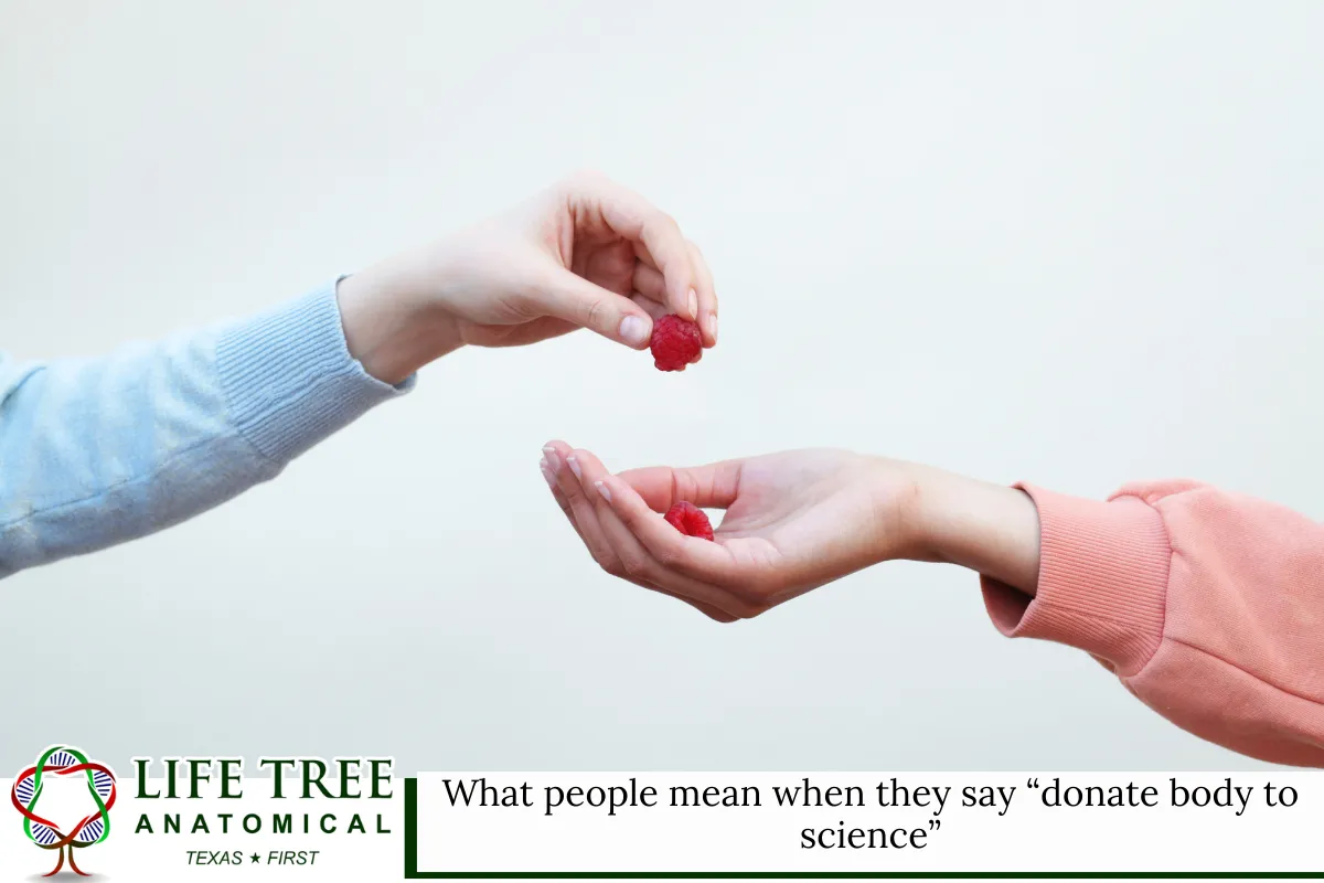 What people mean when they say “donate body to science”