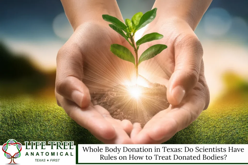 Whole Body Donation in Texas Do Scientists Have Rules on How to Treat Donated Bodies