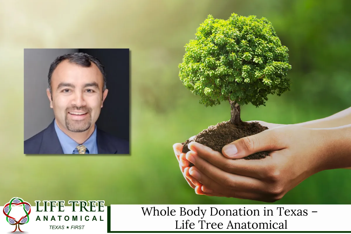Whole Body Donation in Texas – Life Tree Anatomical