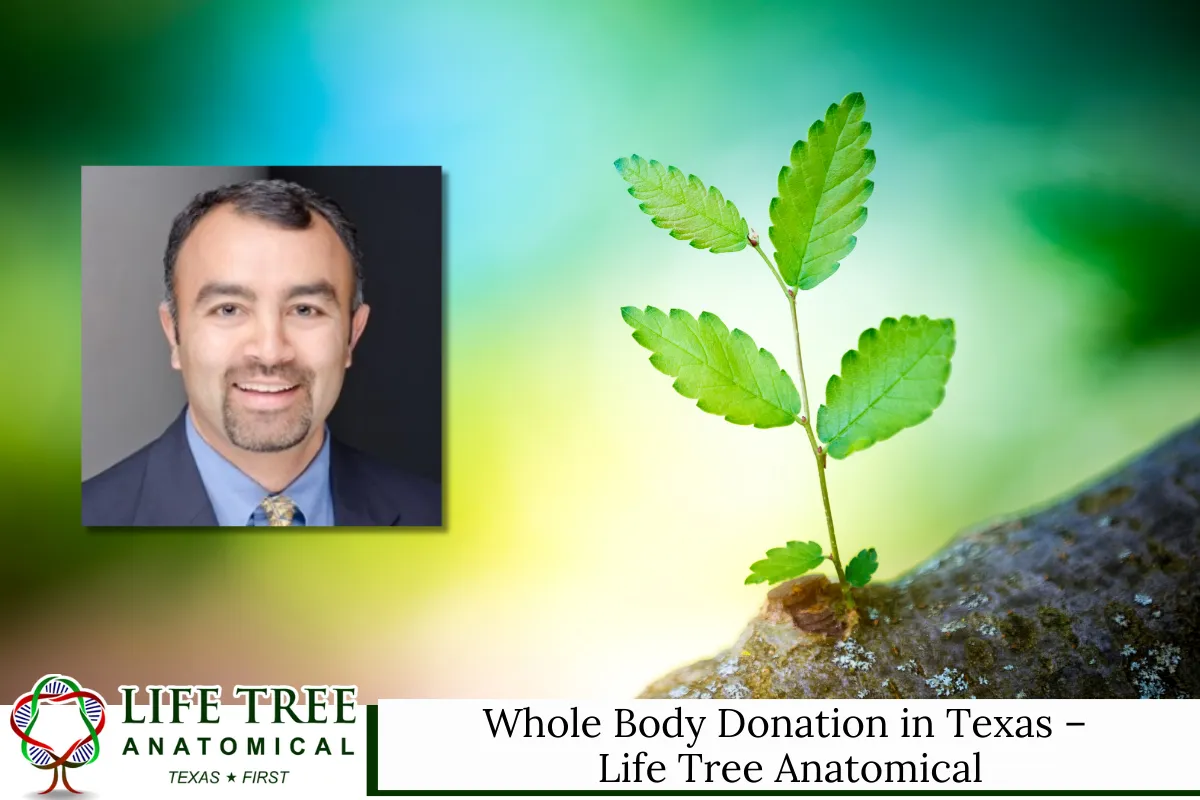 Whole Body Donation in Texas – Life Tree Anatomical