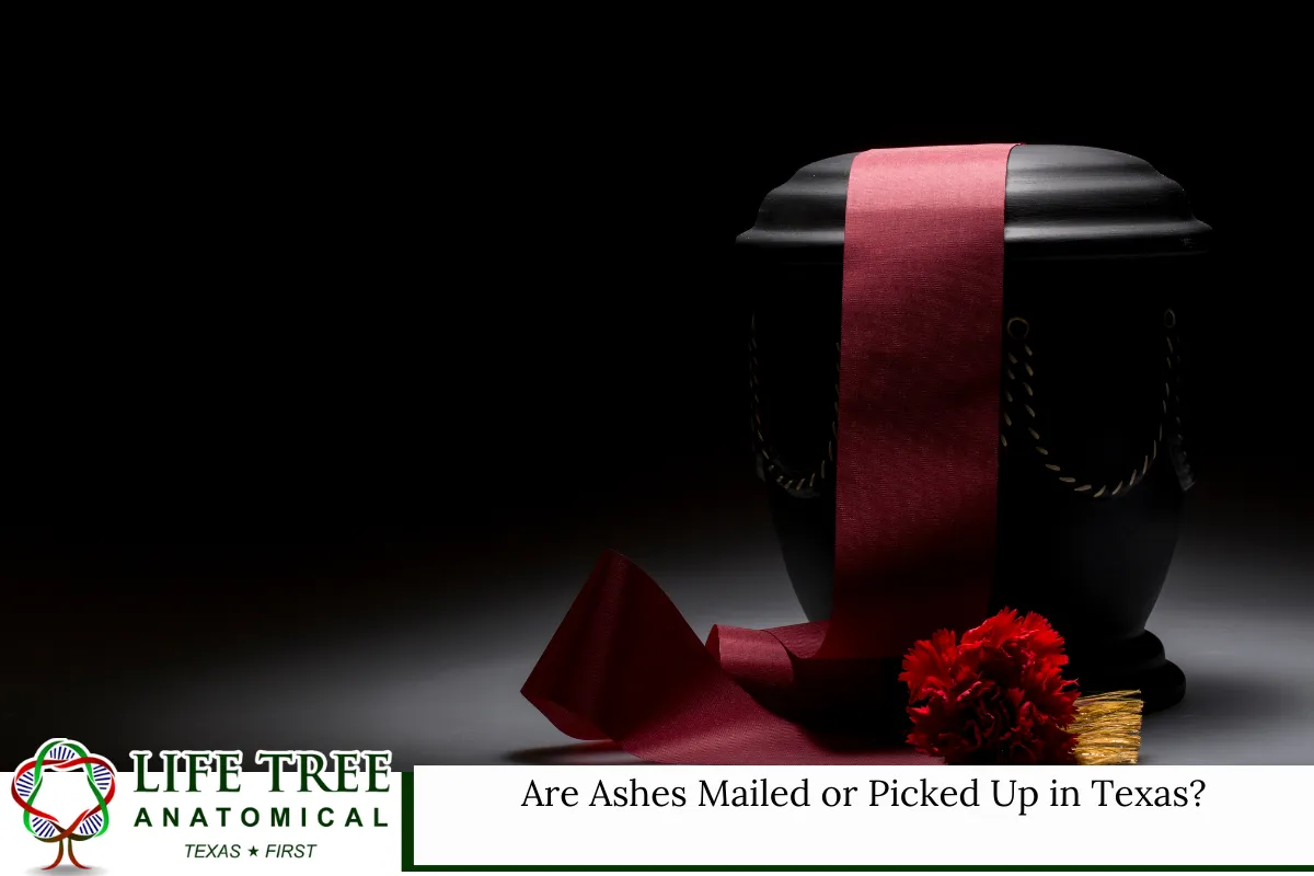Are Ashes Mailed or Picked Up in Texas
