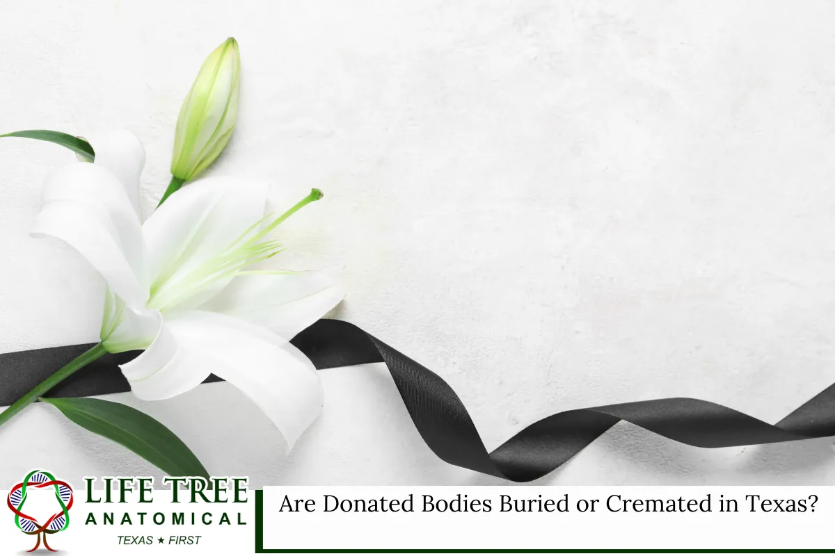 Are Donated Bodies Buried or Cremated in Texas