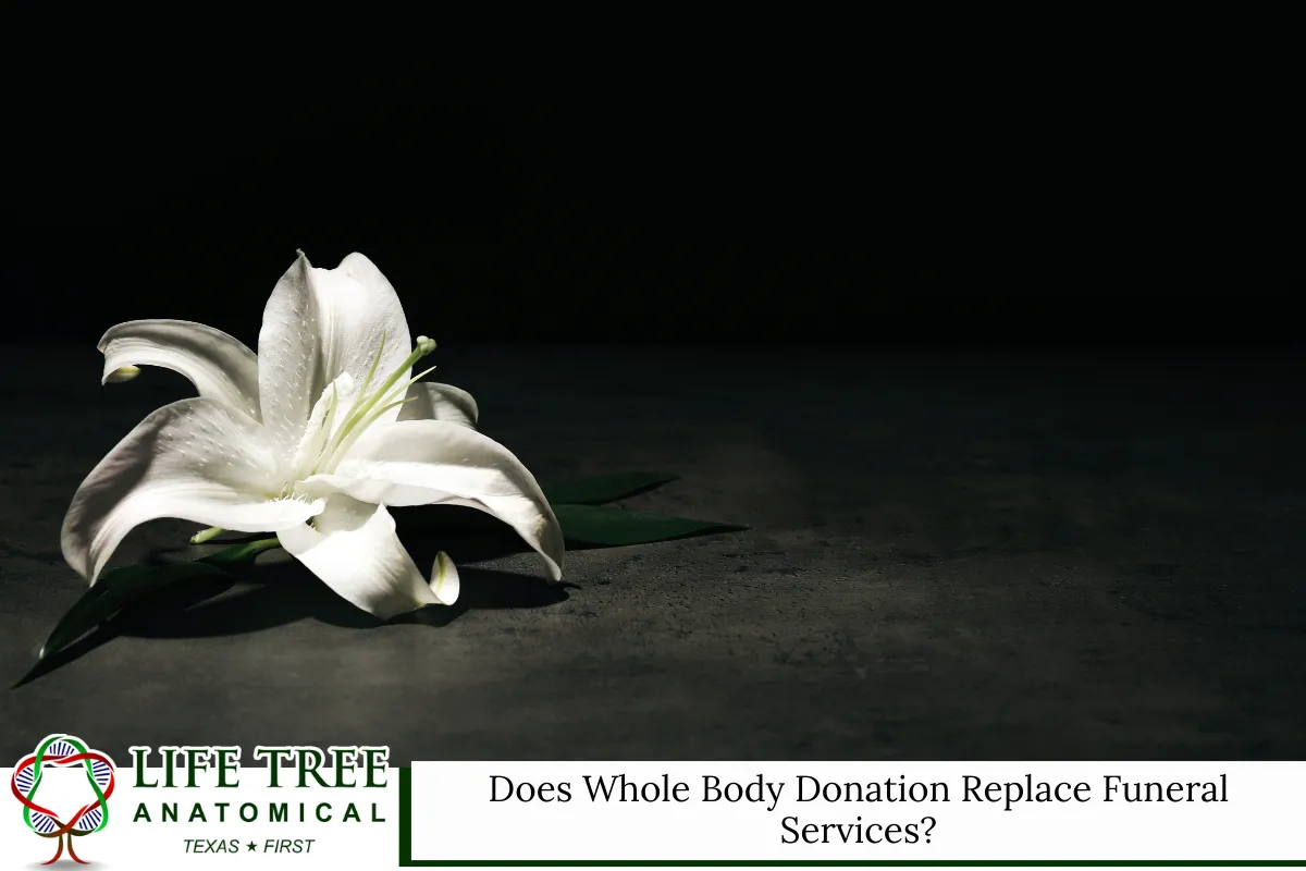 Does Whole Body Donation Replace Funeral Services