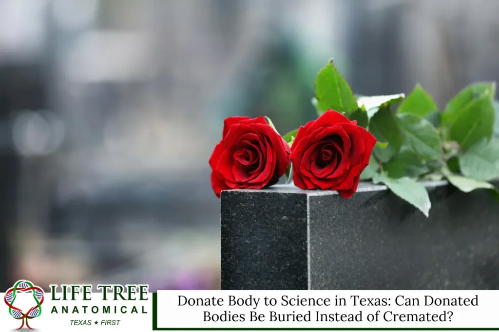 Donate Body to Science in Texas Can Donated Bodies Be Buried Instead of Cremated
