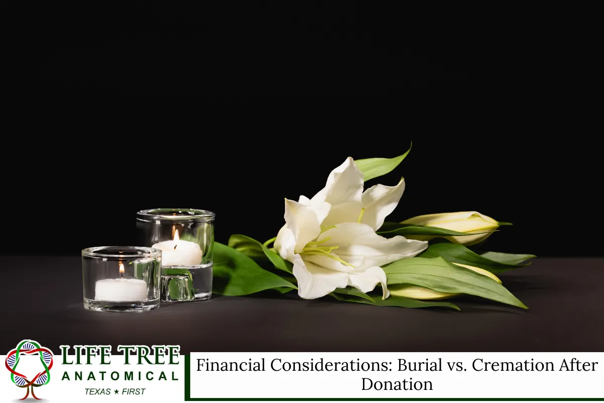 Financial Considerations Burial vs. Cremation After Donation