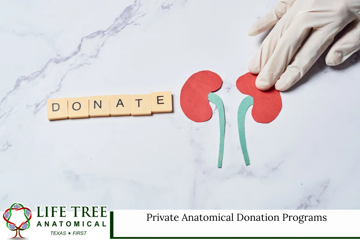 Private Anatomical Donation Programs