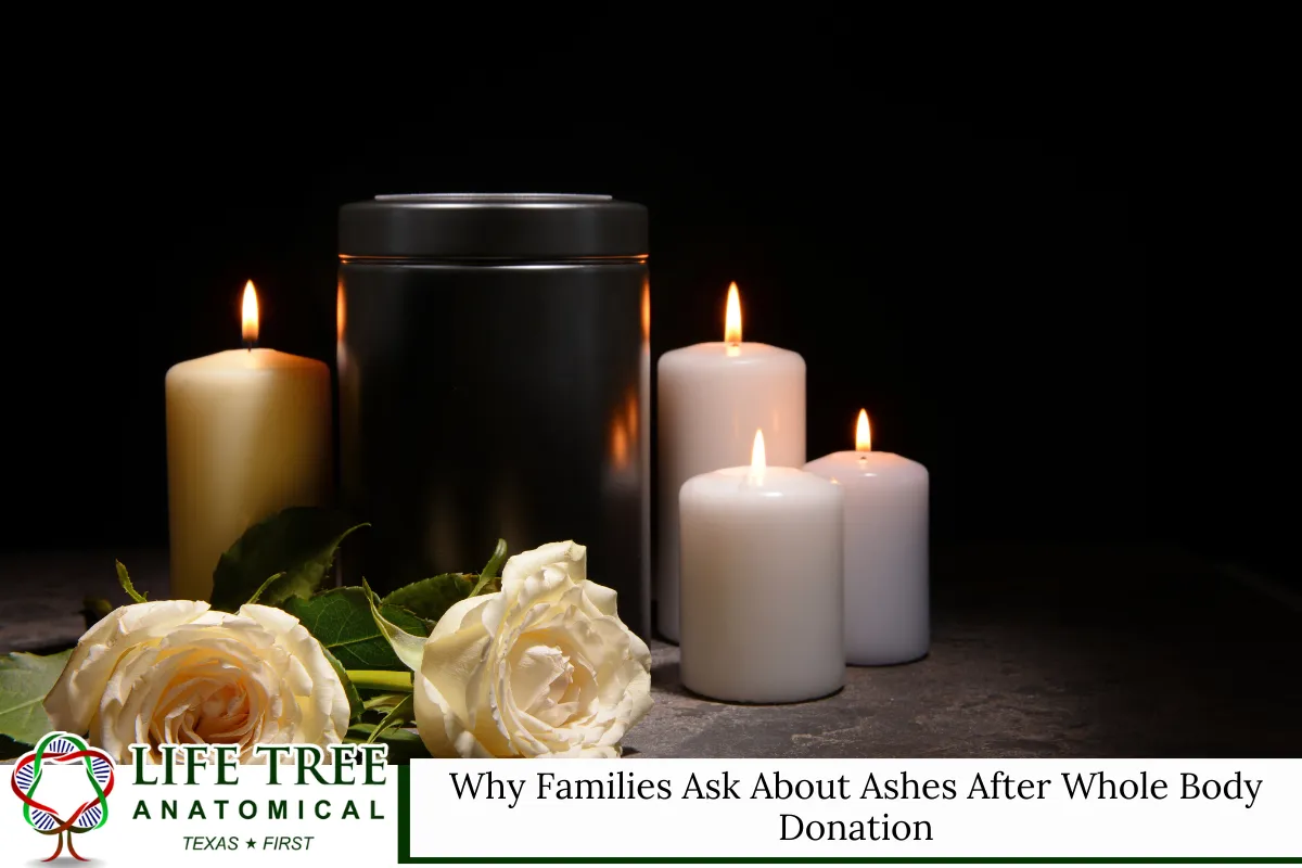Why Families Ask About Ashes After Whole Body Donation