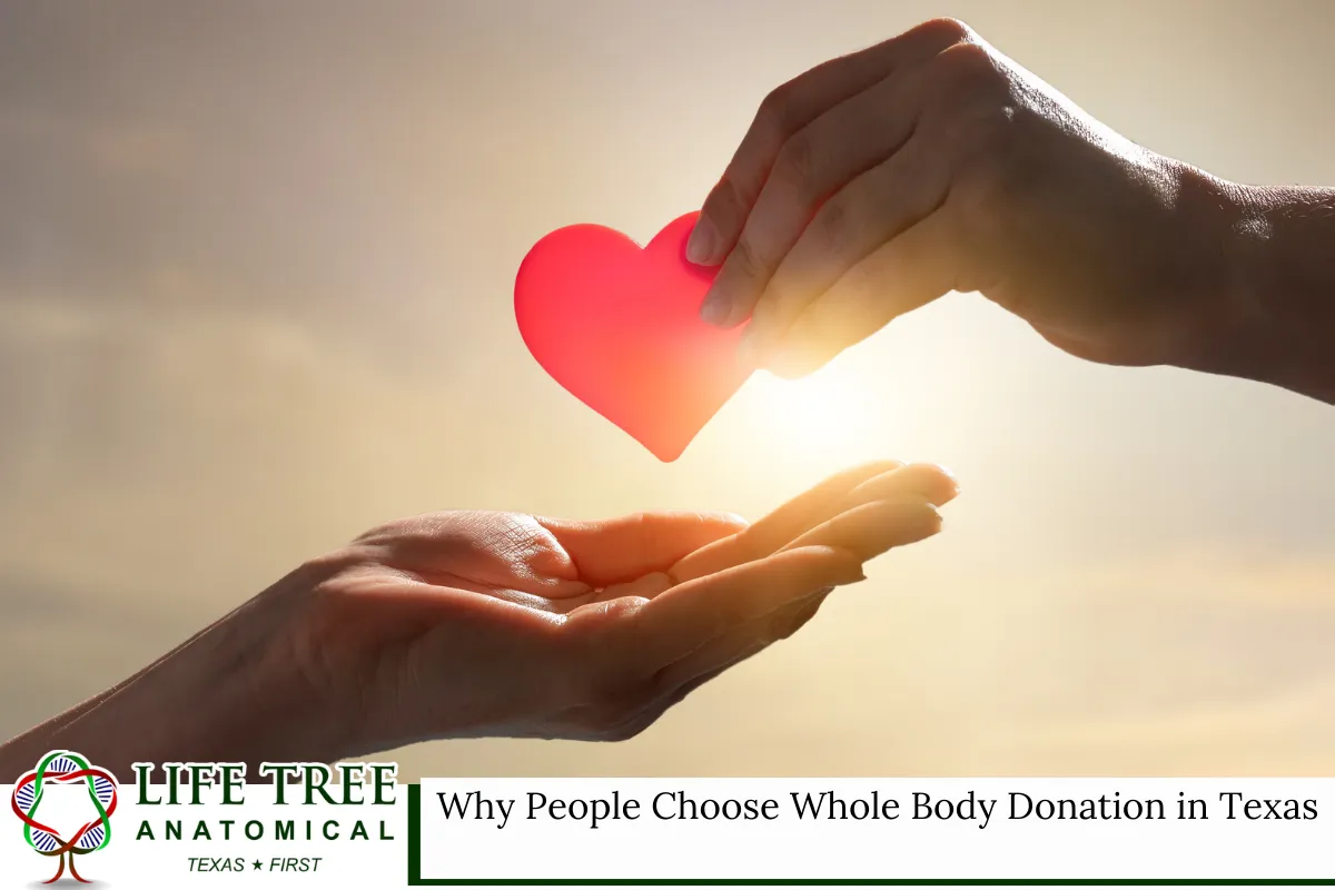 Why People Choose Whole Body Donation in Texas