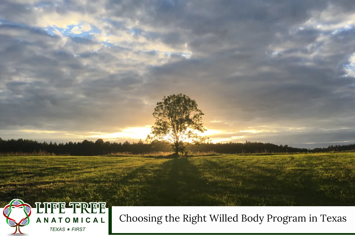 Choosing the Right Willed Body Program in Texas