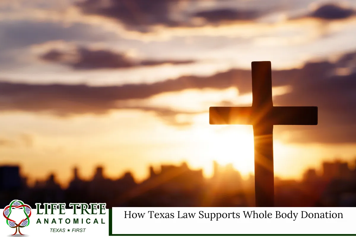How Texas Law Supports Whole Body Donation