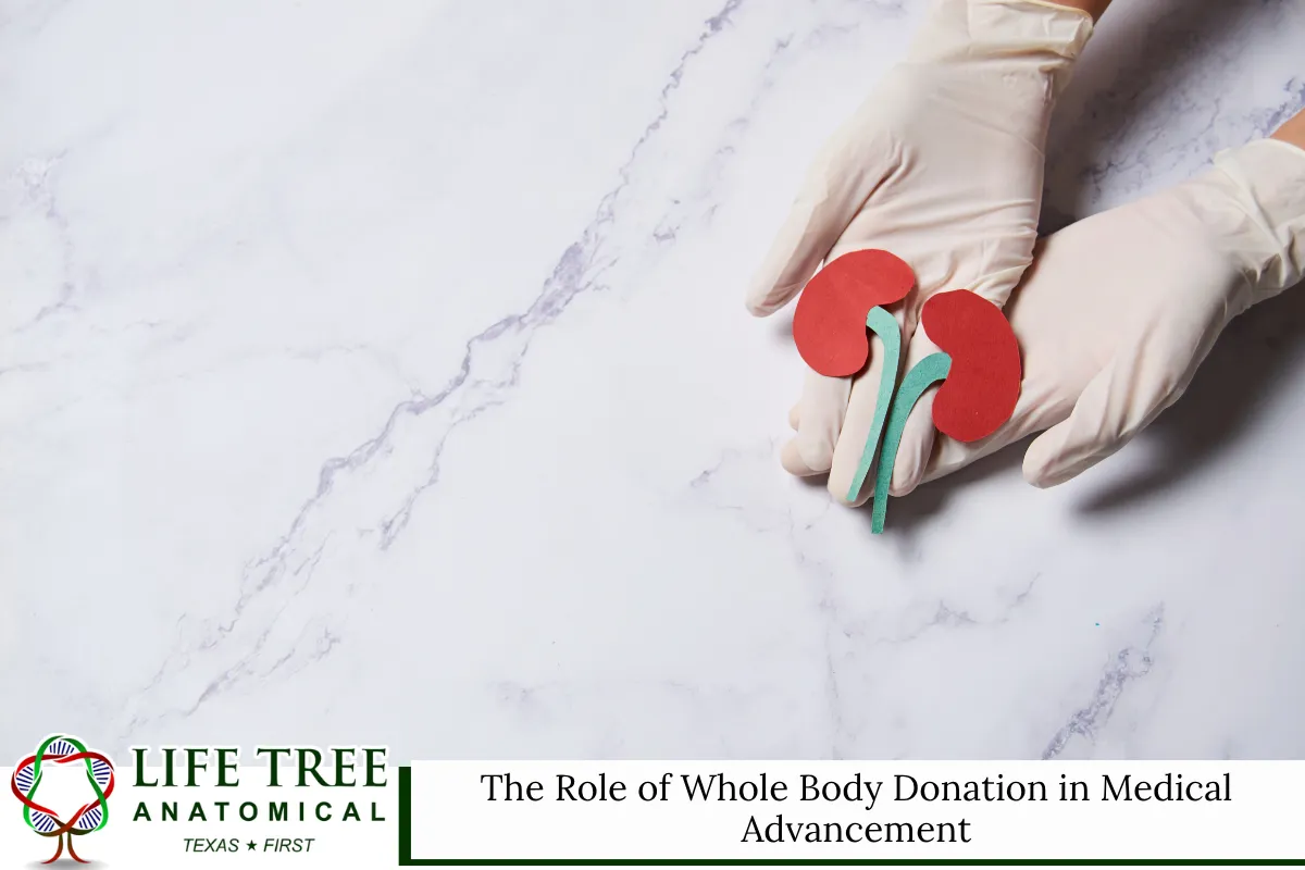 The Role of Whole Body Donation in Medical Advancement
