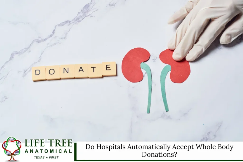 Do Hospitals Automatically Accept Whole Body Donations?