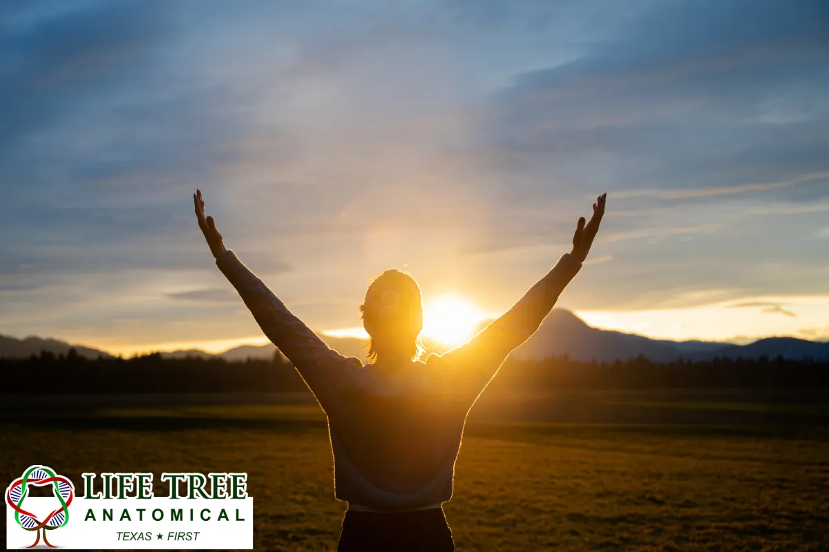 Factors That May Influence Whole Body Donation Acceptance