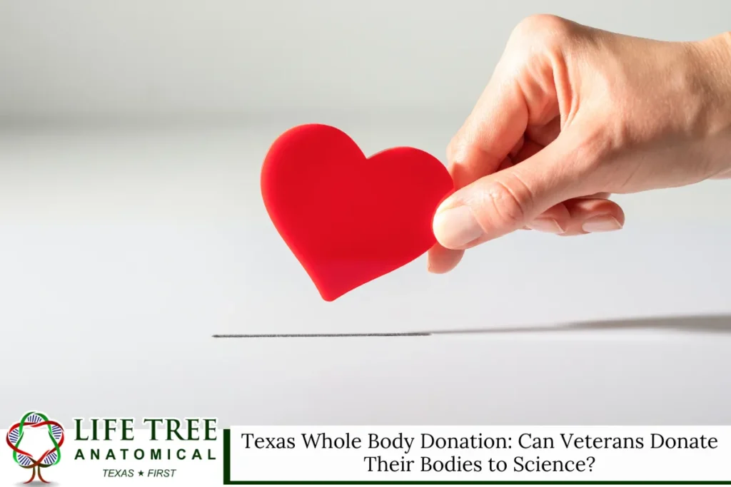 Texas Whole Body Donation: Can Veterans Donate Their Bodies to Science?