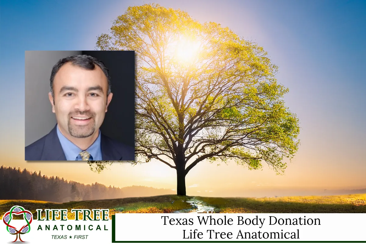 Texas Whole Body Donation – Life Tree Anatomical
