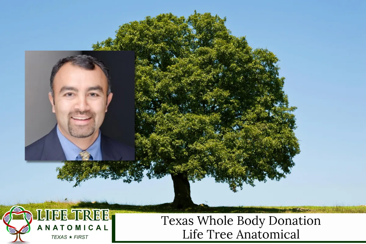 Texas Whole Body Donation – Life Tree Anatomical