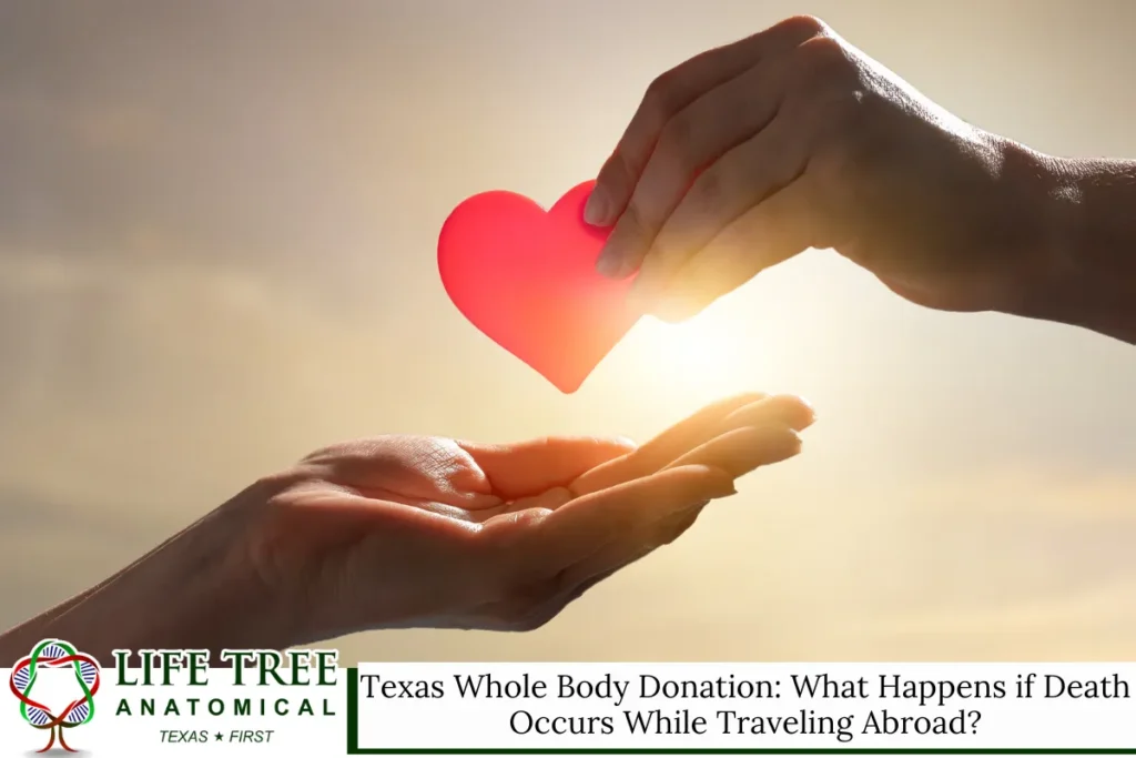 Texas Whole Body Donation: What Happens if Death Occurs While Traveling Abroad?