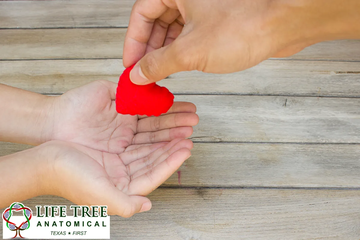 The Importance of Donating Your Body to Science