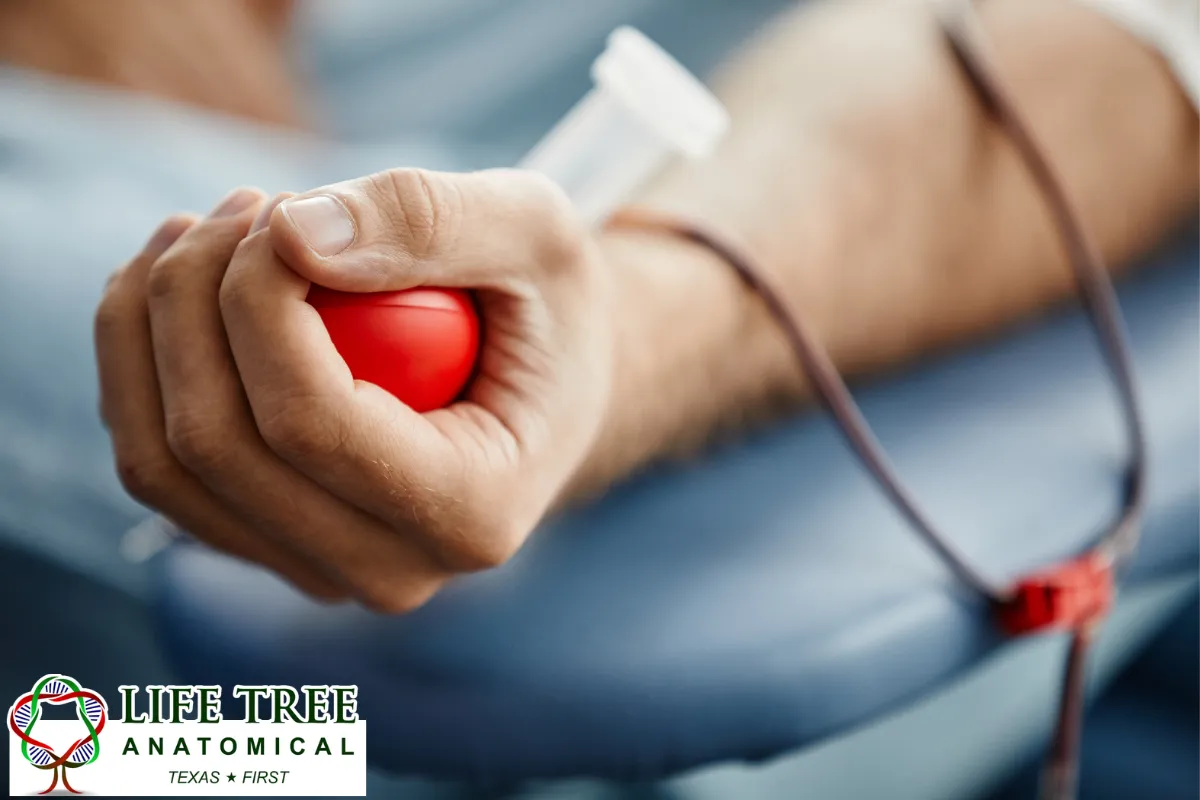 Can Family Members Override a Registered Donor
